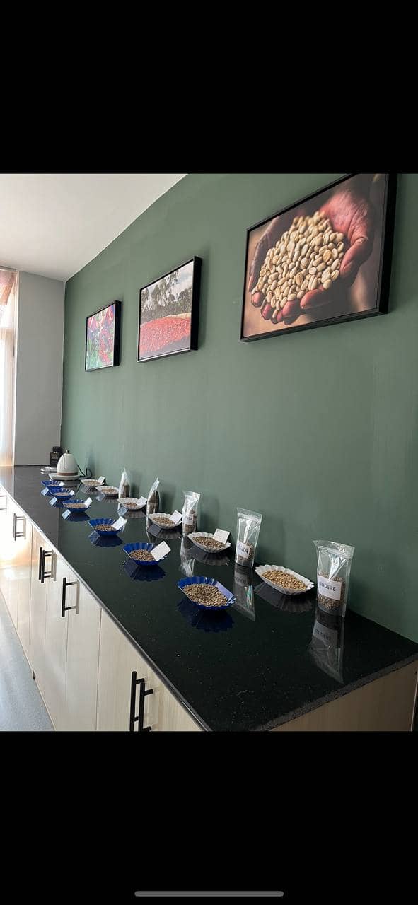 Coffee beans and professional cupping spoons
