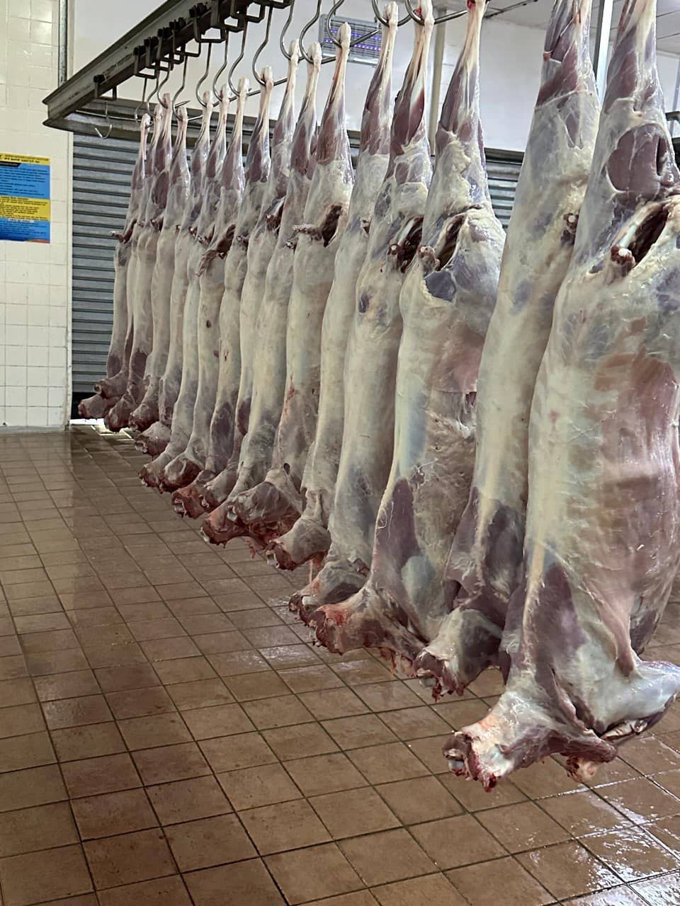 High-Quality Meat Products