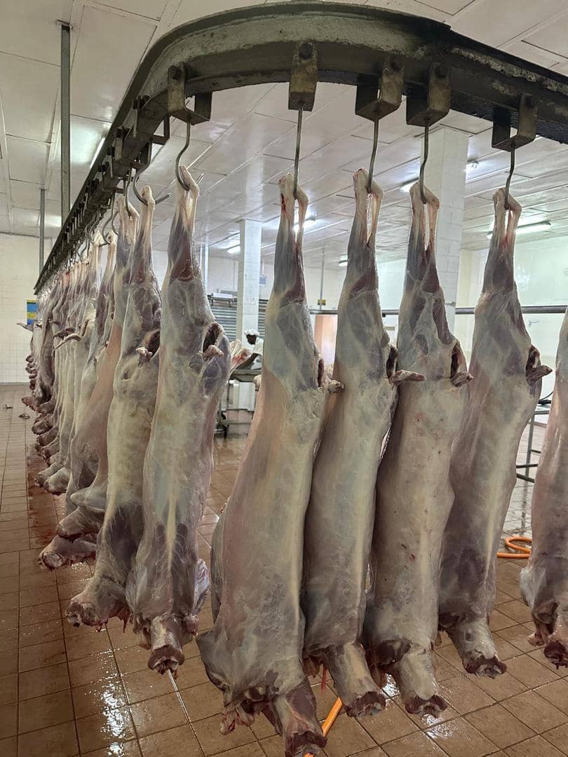 Lamb & Goat Products